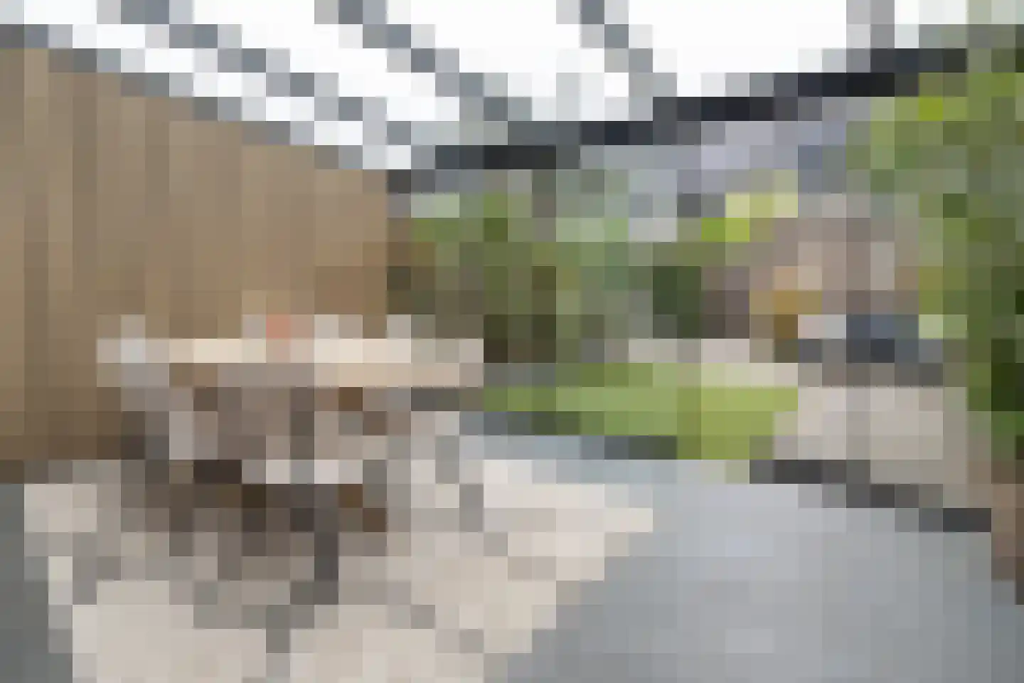 Buru 67 Barneveld thumbnail 30
