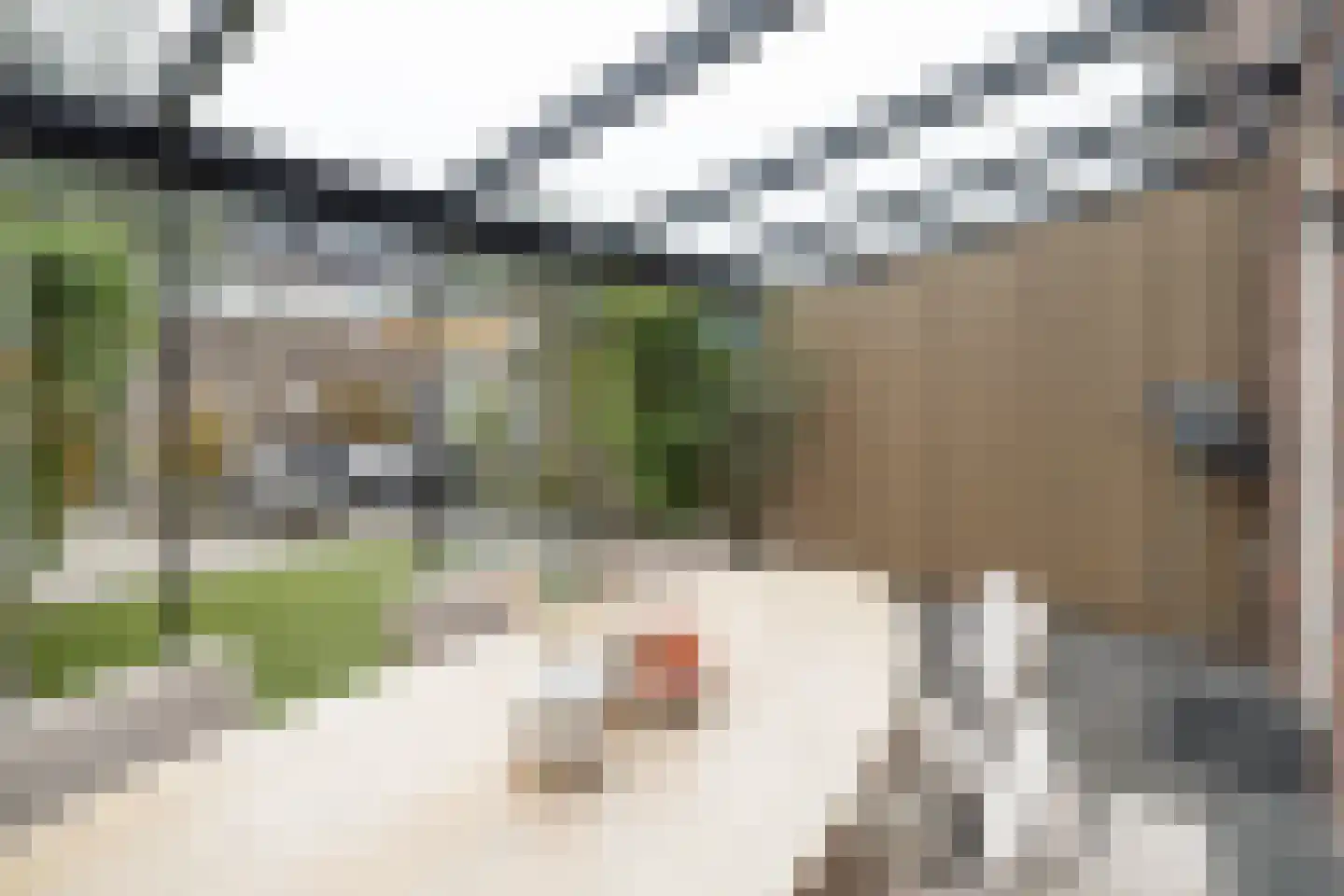 Buru 67 Barneveld thumbnail 31