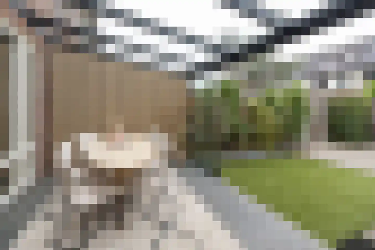 Buru 67 Barneveld thumbnail 34