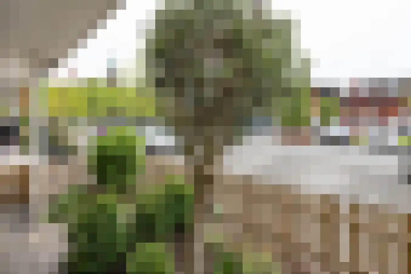 Buru 67 Barneveld thumbnail 38