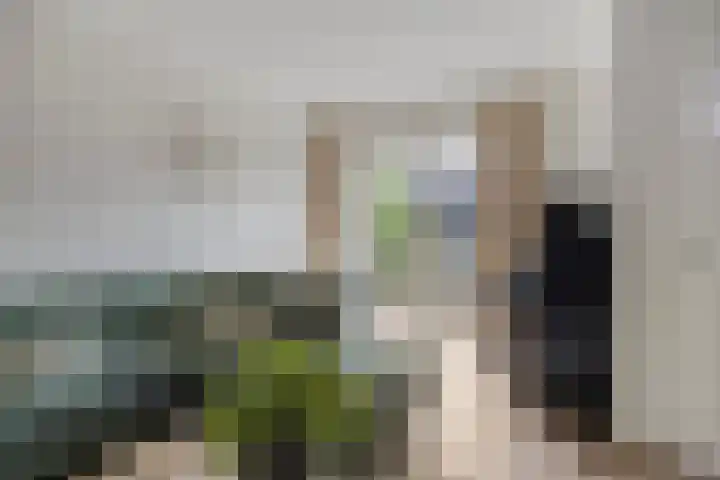 Buru 7 Barneveld thumbnail 10