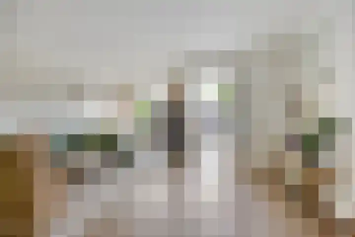 Buru 7 Barneveld thumbnail 11