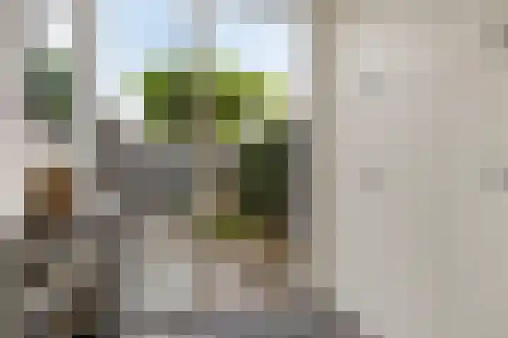 Buru 7 Barneveld thumbnail 12