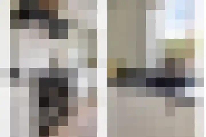 Buru 7 Barneveld thumbnail 15