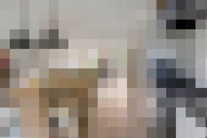 Buru 7 Barneveld thumbnail 16