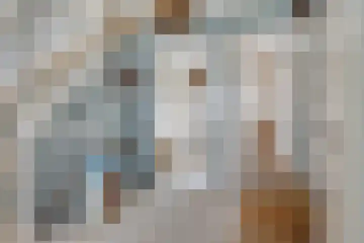 Buru 7 Barneveld thumbnail 17