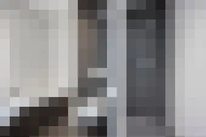 Buru 7 Barneveld thumbnail 23