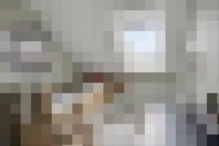Buru 7 Barneveld thumbnail 27