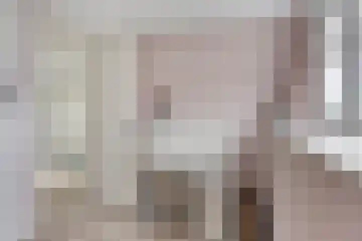 Buru 7 Barneveld thumbnail 29