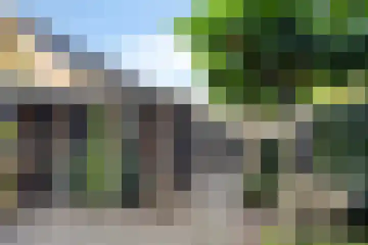 Buru 7 Barneveld thumbnail 31
