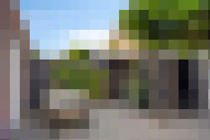 Buru 7 Barneveld thumbnail 32