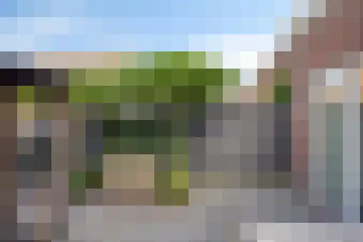 Buru 7 Barneveld thumbnail 33