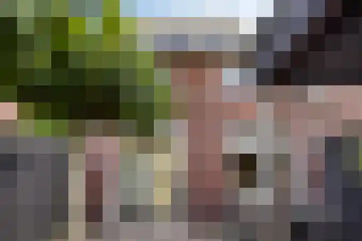 Buru 7 Barneveld thumbnail 34