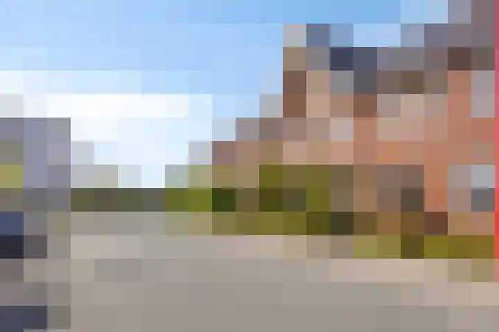 Buru 7 Barneveld thumbnail 35