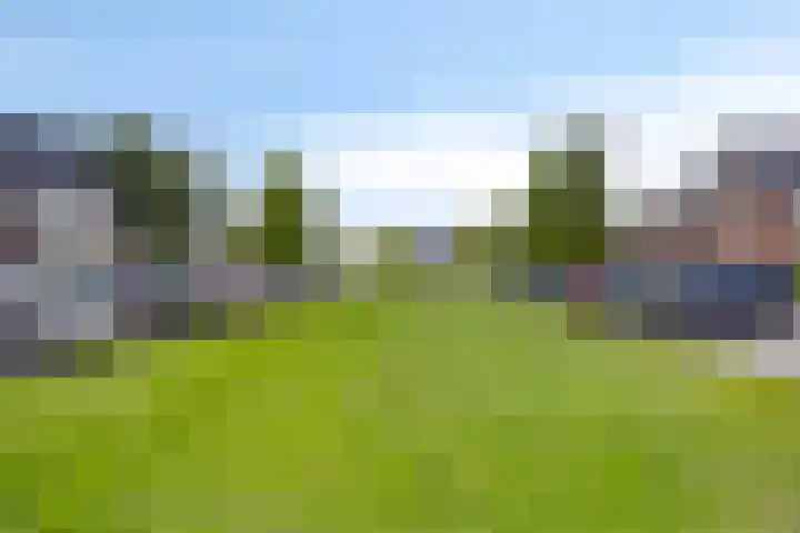 Buru 7 Barneveld thumbnail 36