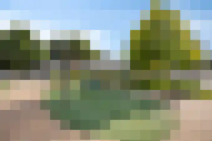 Buru 7 Barneveld thumbnail 37