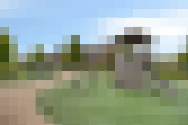 Buru 7 Barneveld thumbnail 38