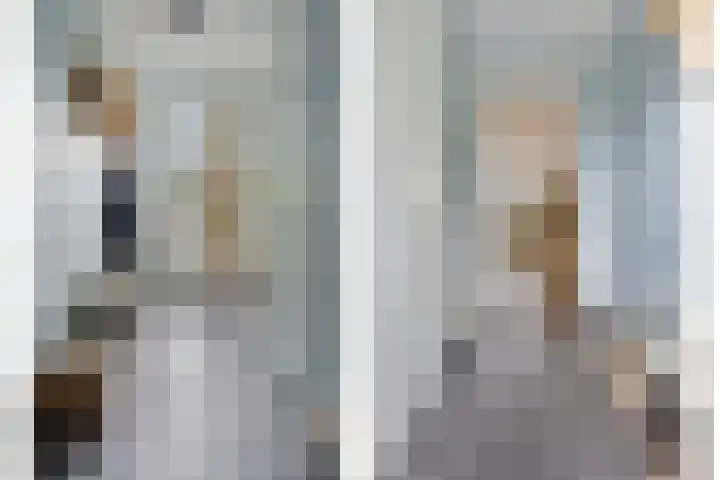 Buru 7 Barneveld thumbnail 4