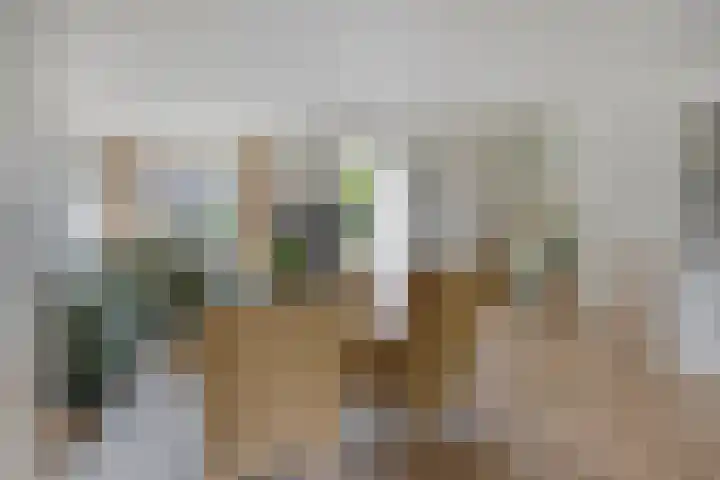 Buru 7 Barneveld thumbnail 6