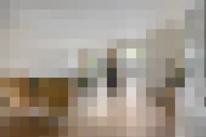 Buru 7 Barneveld thumbnail 7