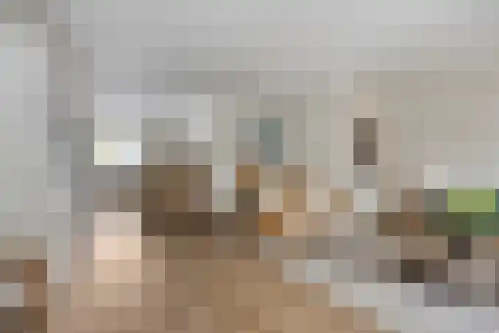 Buru 7 Barneveld thumbnail 8