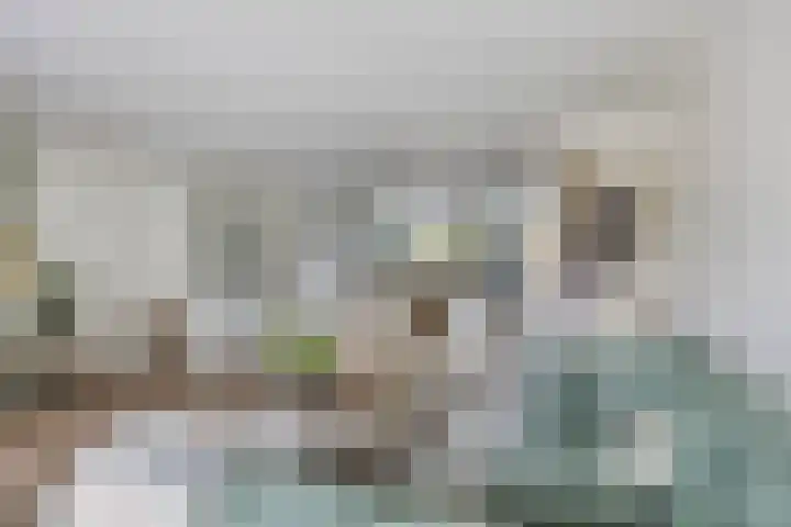 Buru 7 Barneveld thumbnail 9