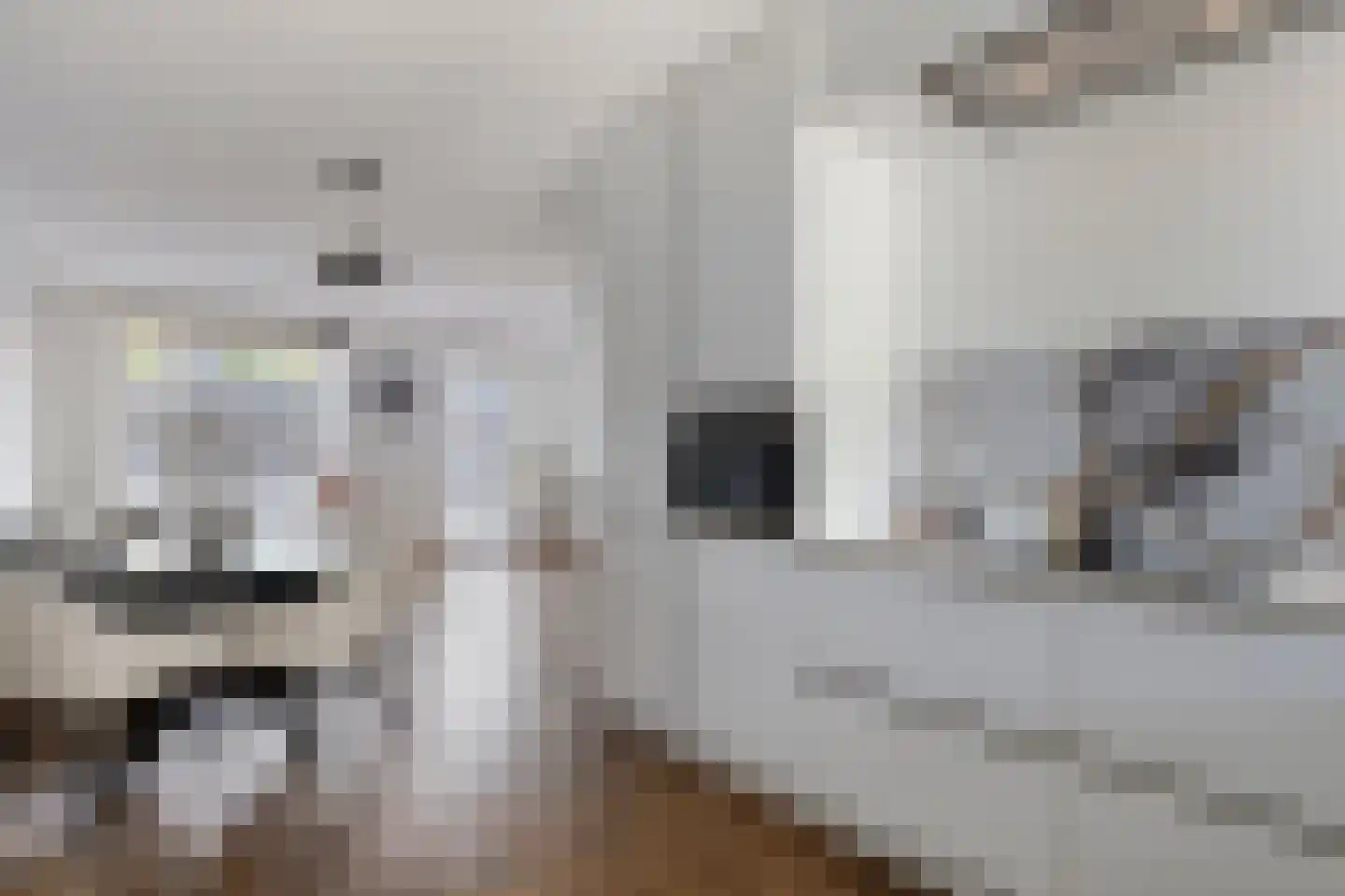 Buru 73 Barneveld thumbnail 15
