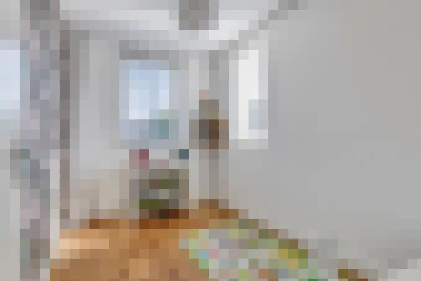Buru 73 Barneveld thumbnail 25