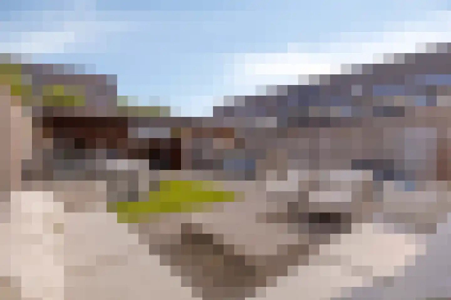 Buru 73 Barneveld thumbnail 30