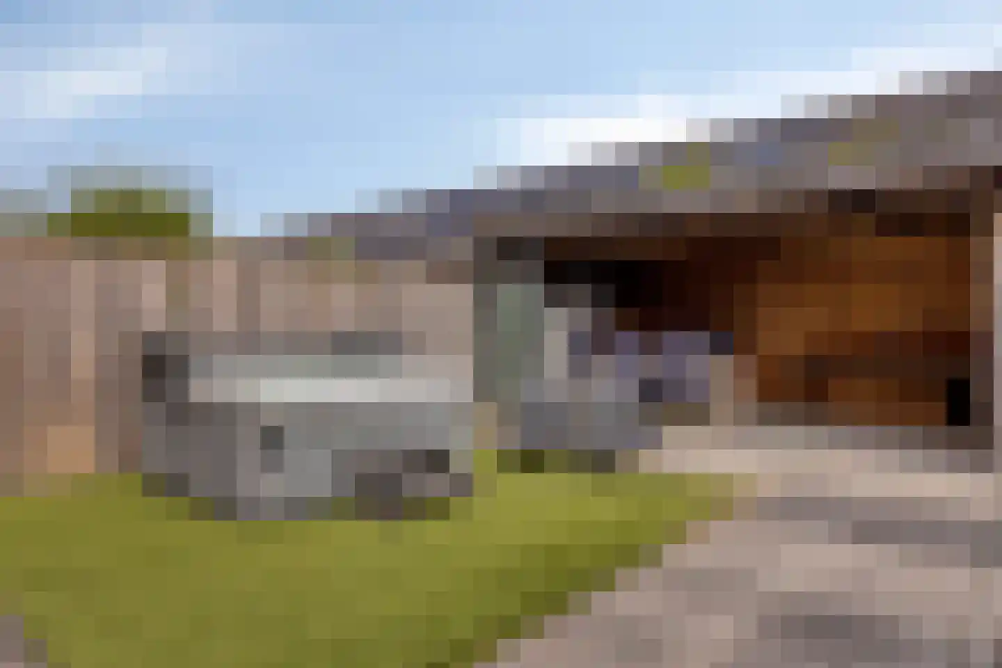 Buru 73 Barneveld thumbnail 31