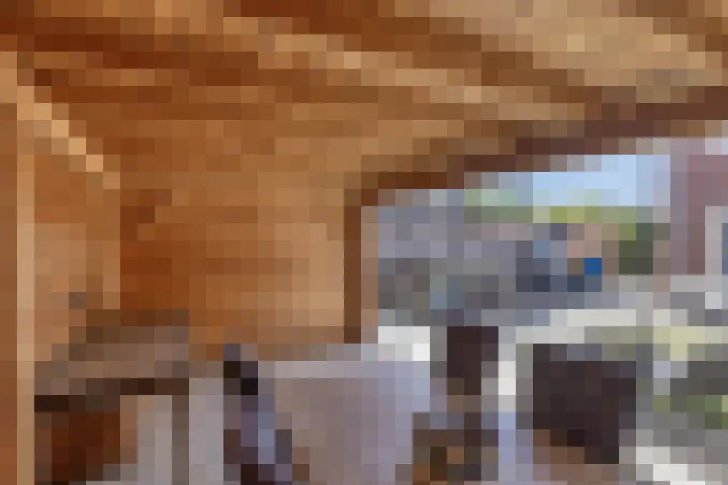 Buru 73 Barneveld thumbnail 33