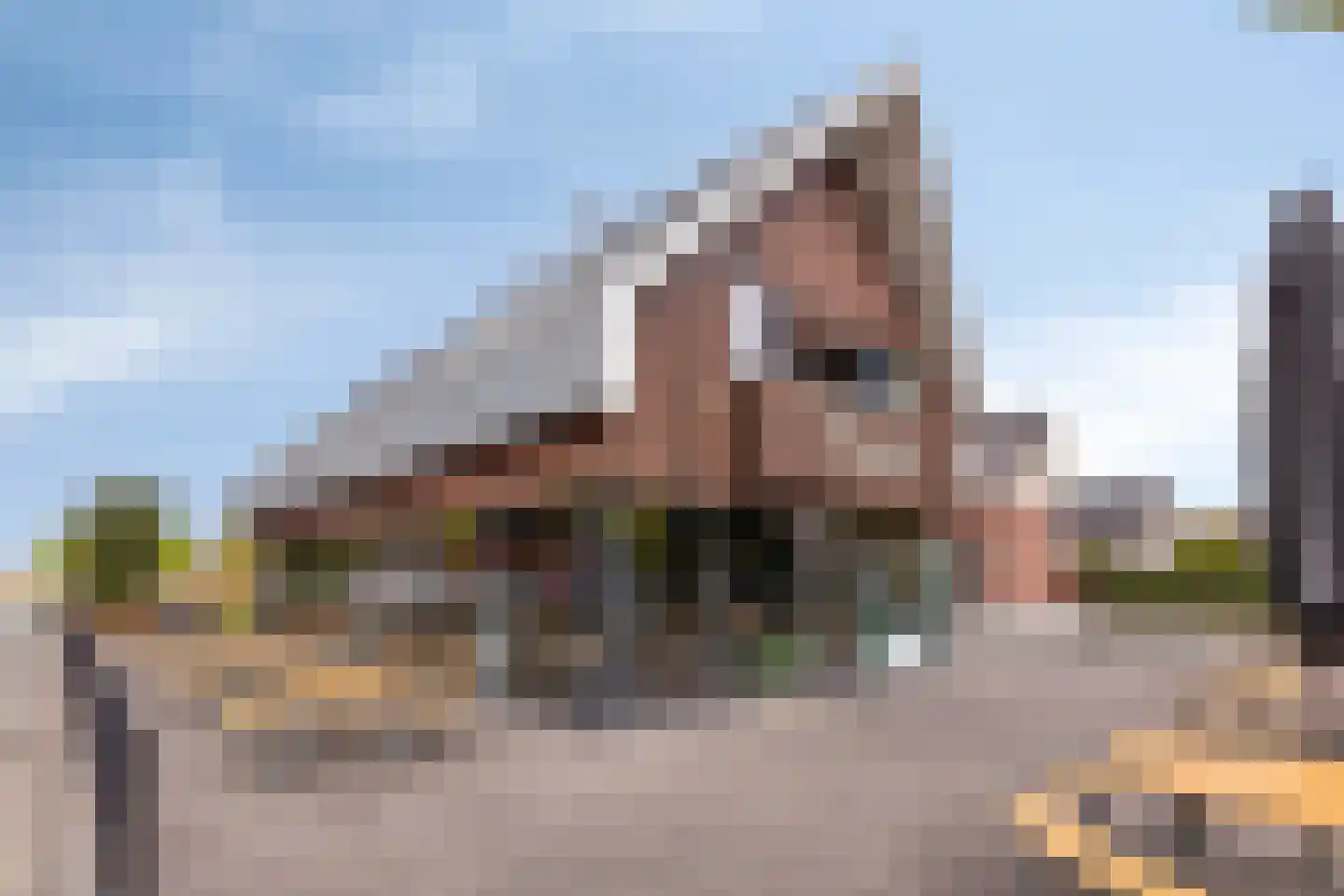 Buru 73 Barneveld thumbnail 40