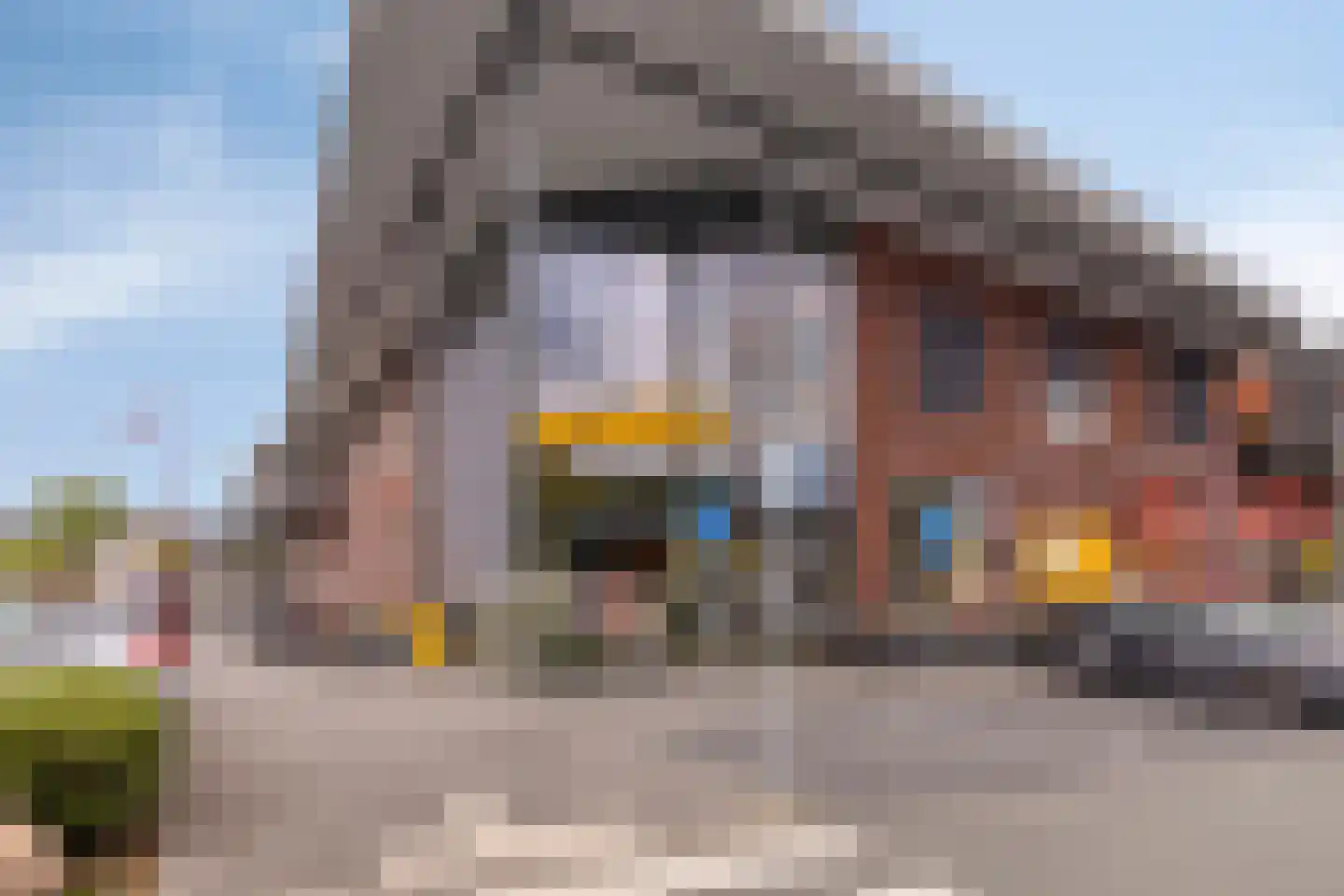 Buru 73 Barneveld thumbnail 41