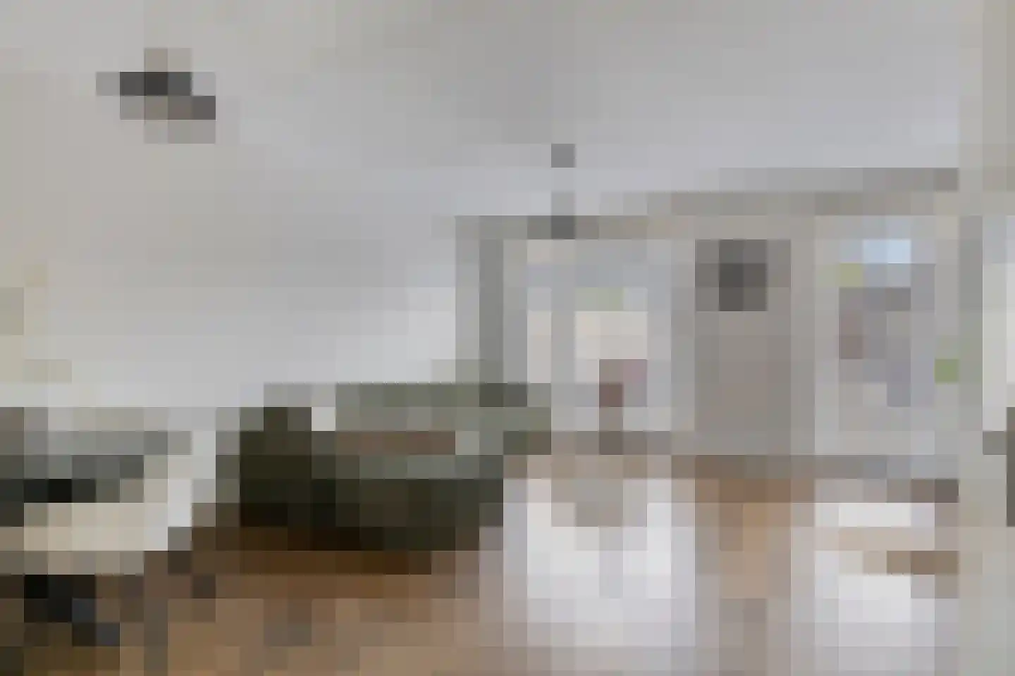 Buru 73 Barneveld thumbnail 8