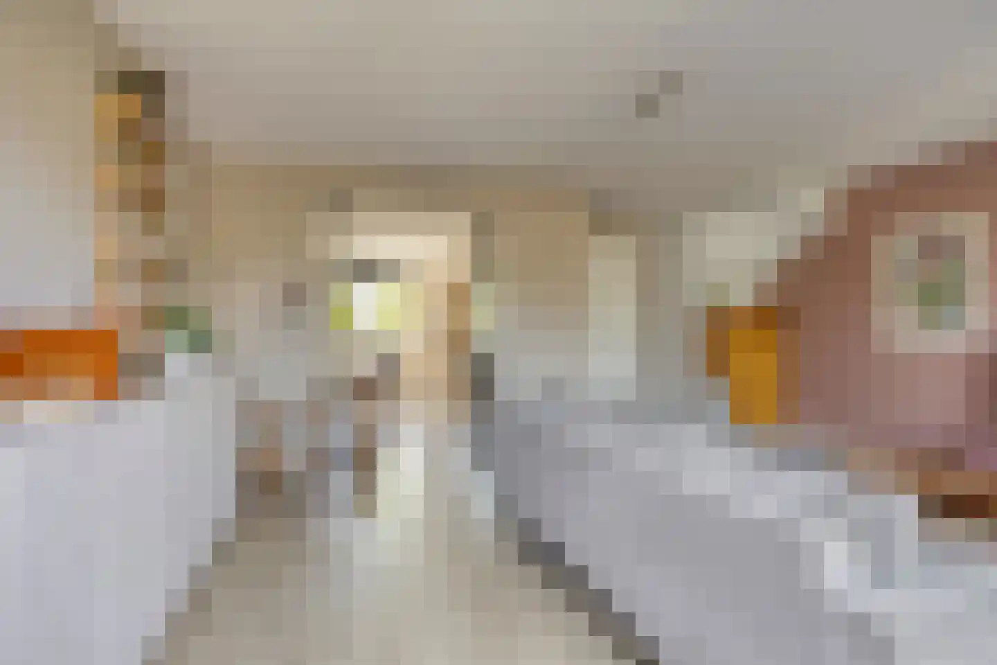 Buru 9 Barneveld thumbnail 12