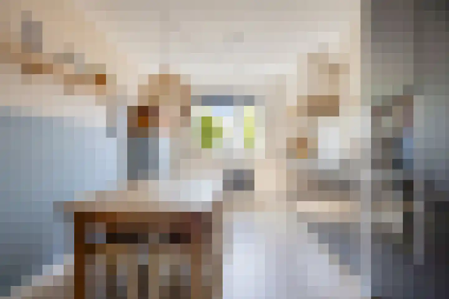 Buru 9 Barneveld thumbnail 13