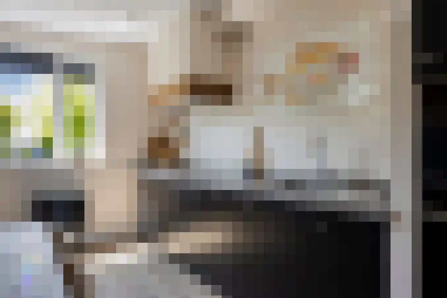 Buru 9 Barneveld thumbnail 14