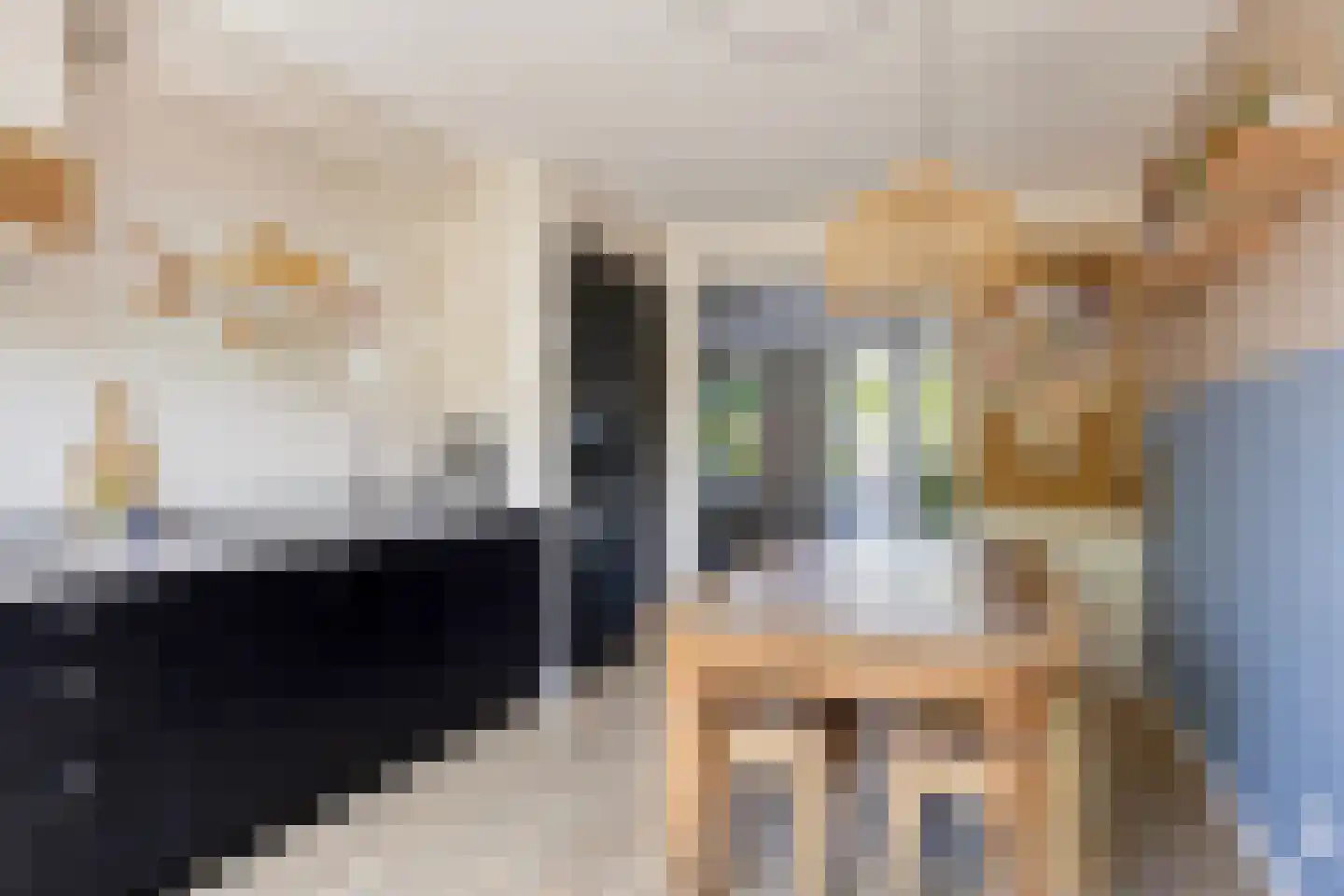 Buru 9 Barneveld thumbnail 15