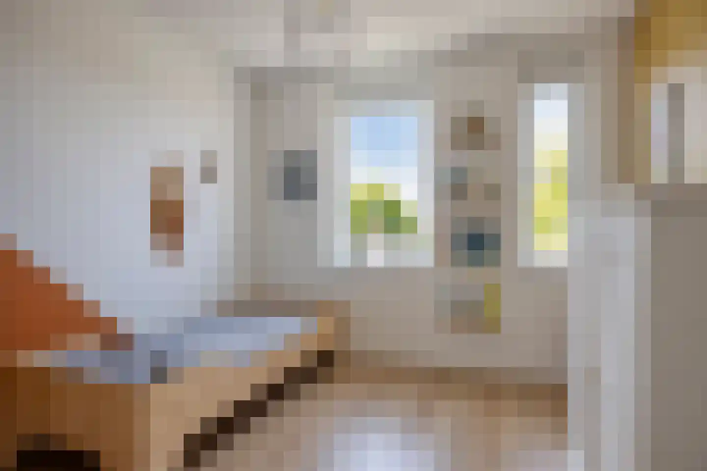 Buru 9 Barneveld thumbnail 22