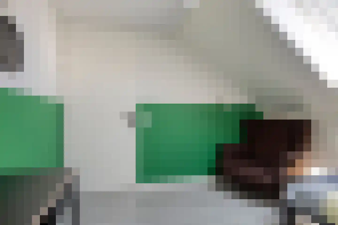 Buru 9 Barneveld thumbnail 28