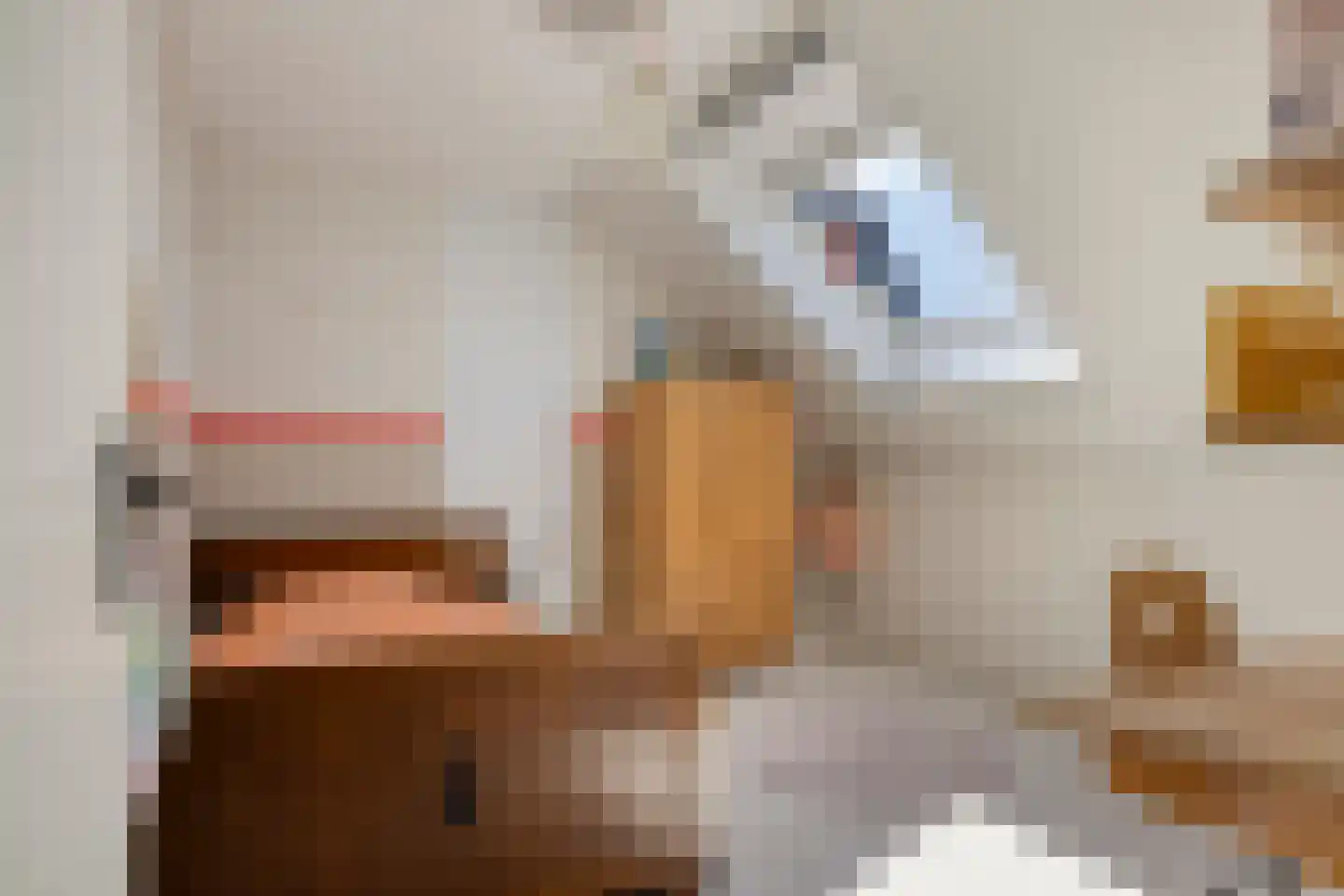 Buru 9 Barneveld thumbnail 29
