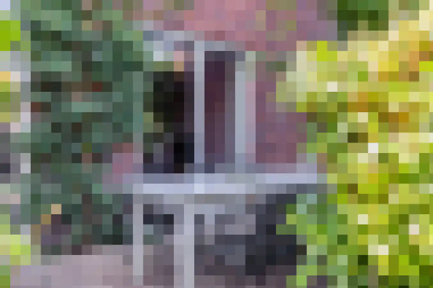 Buru 9 Barneveld thumbnail 32