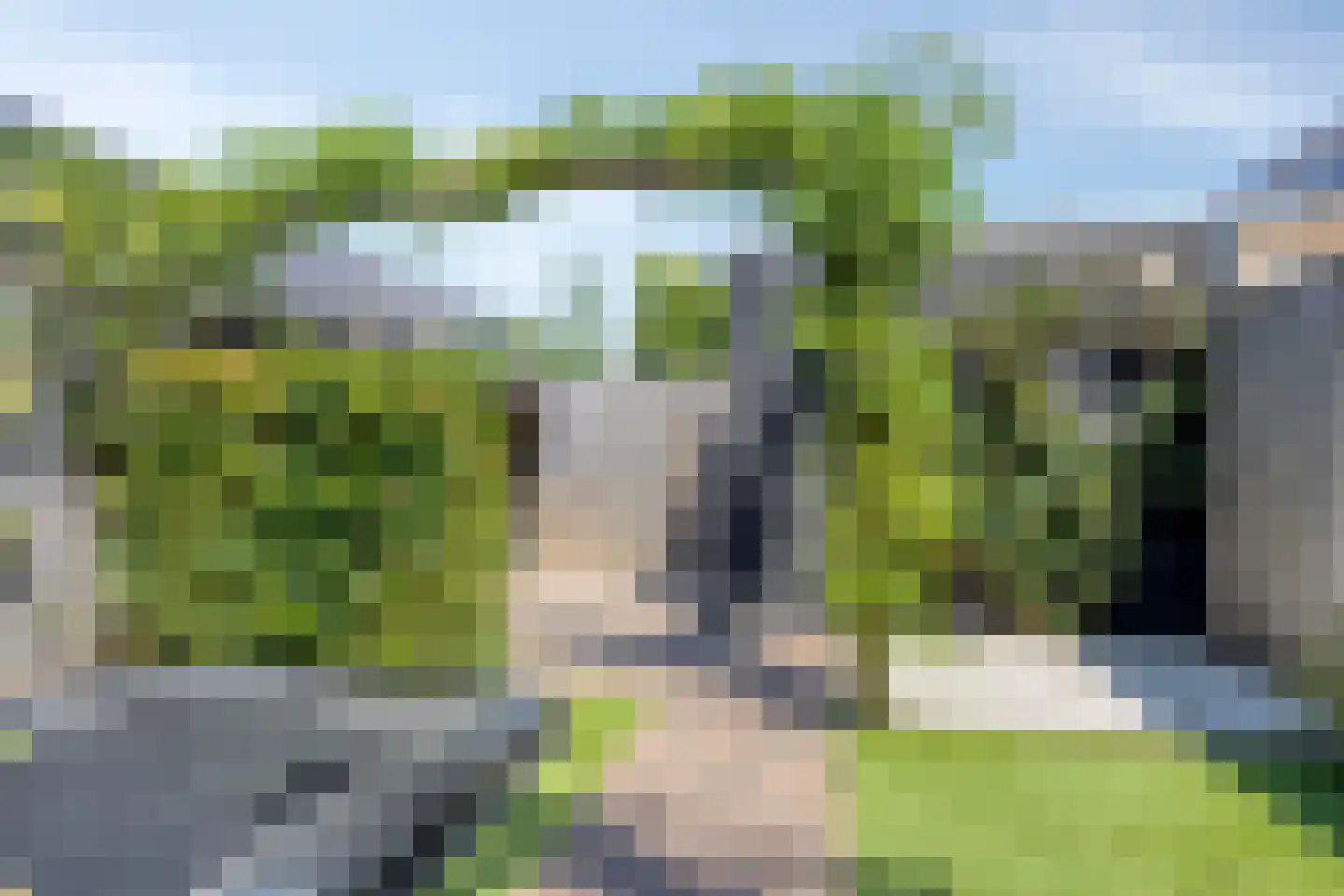Buru 9 Barneveld thumbnail 33