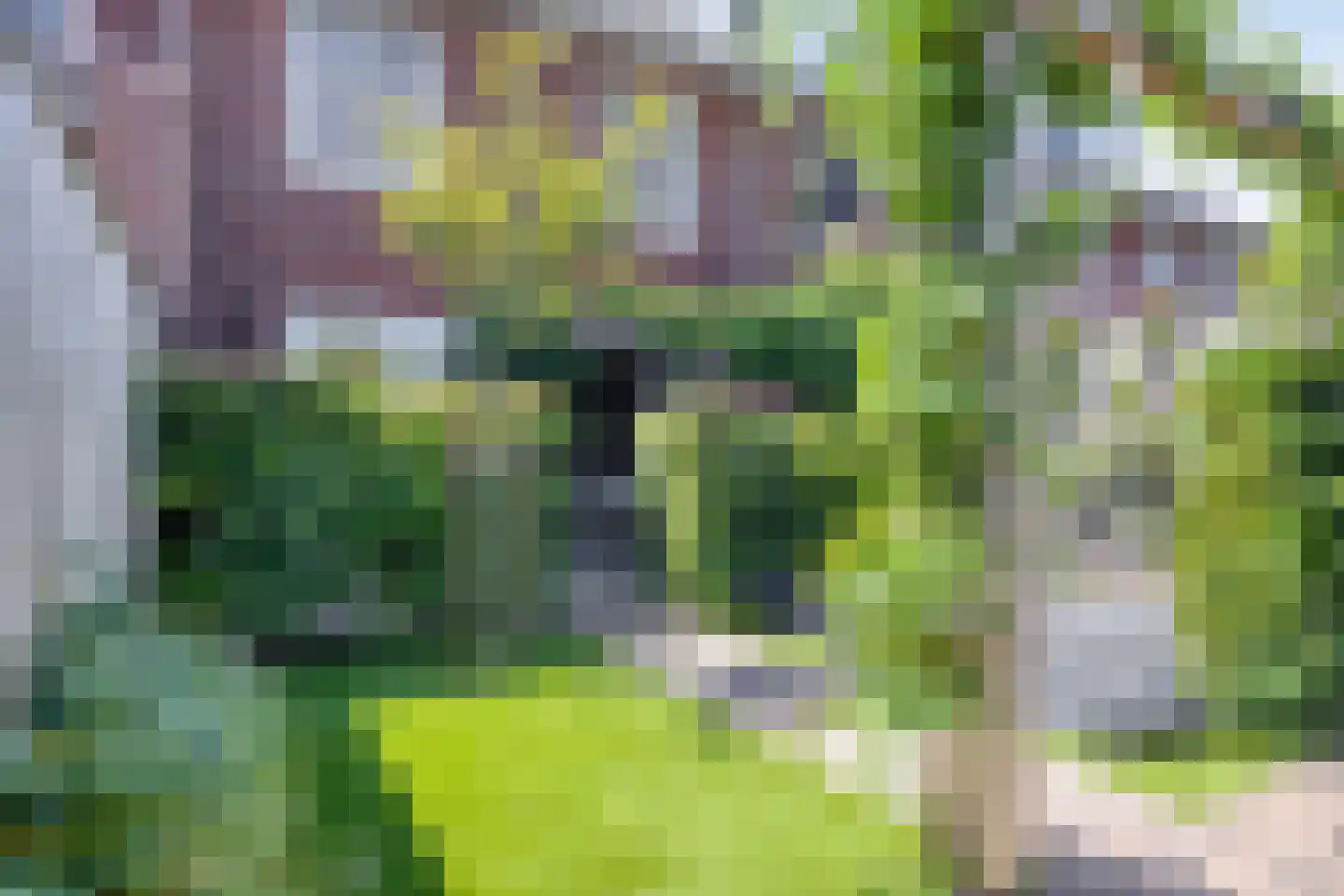 Buru 9 Barneveld thumbnail 34