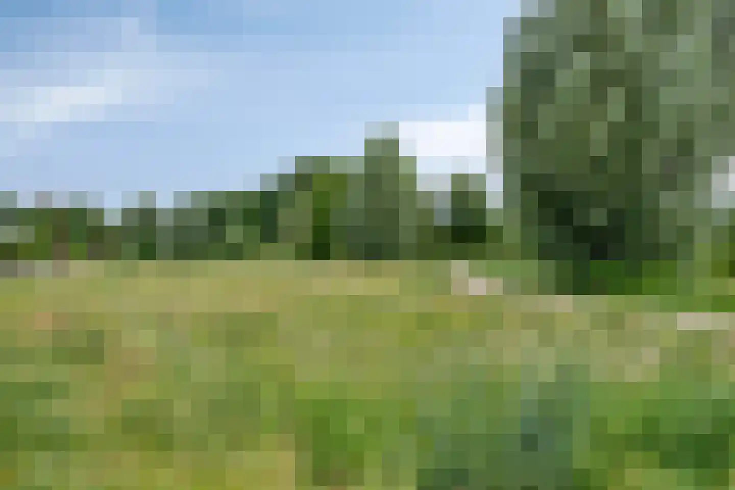 Buru 9 Barneveld thumbnail 37