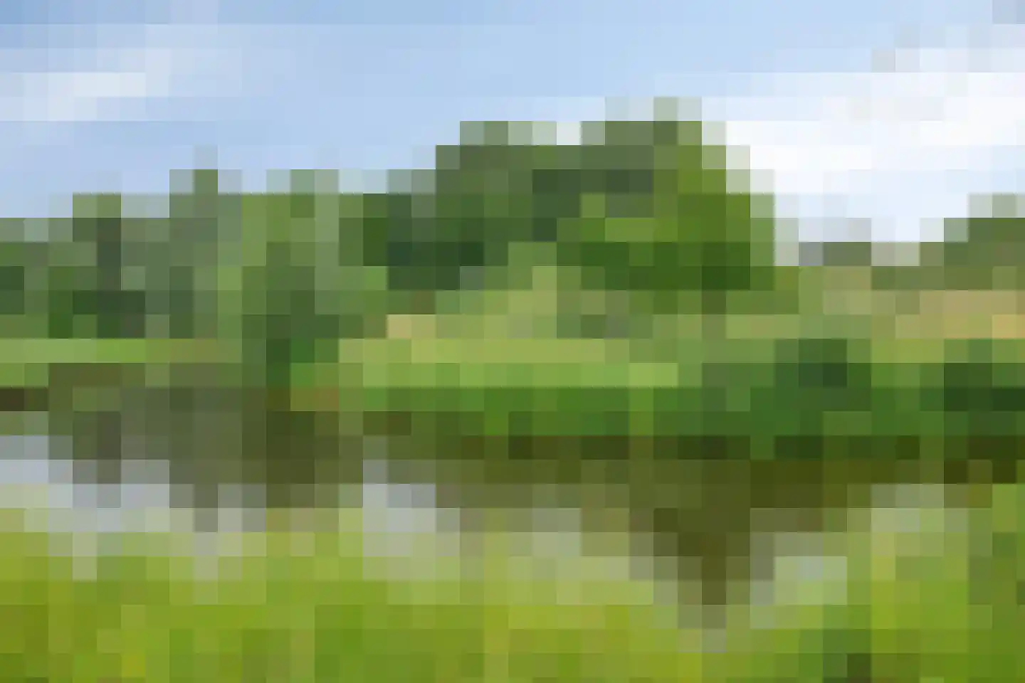 Buru 9 Barneveld thumbnail 38