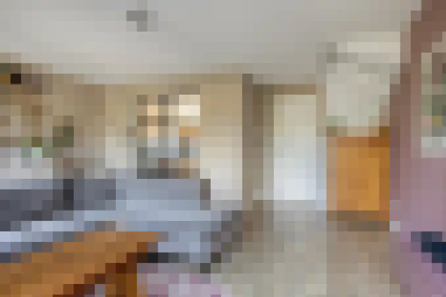 Buru 9 Barneveld thumbnail 9