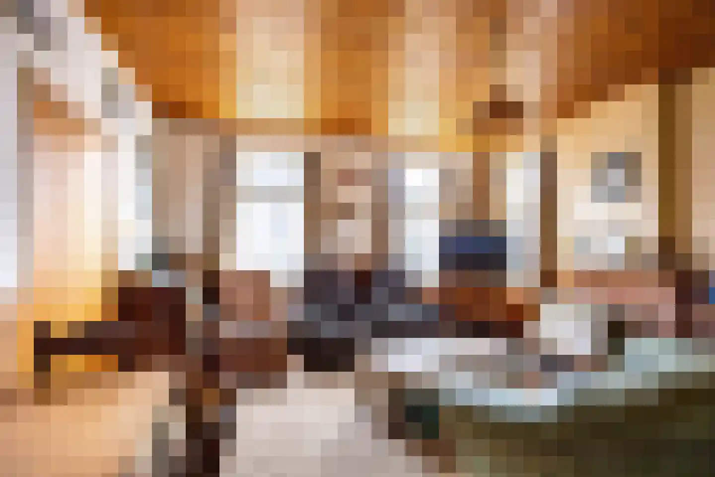Burum 3 Warfhuizen thumbnail 12