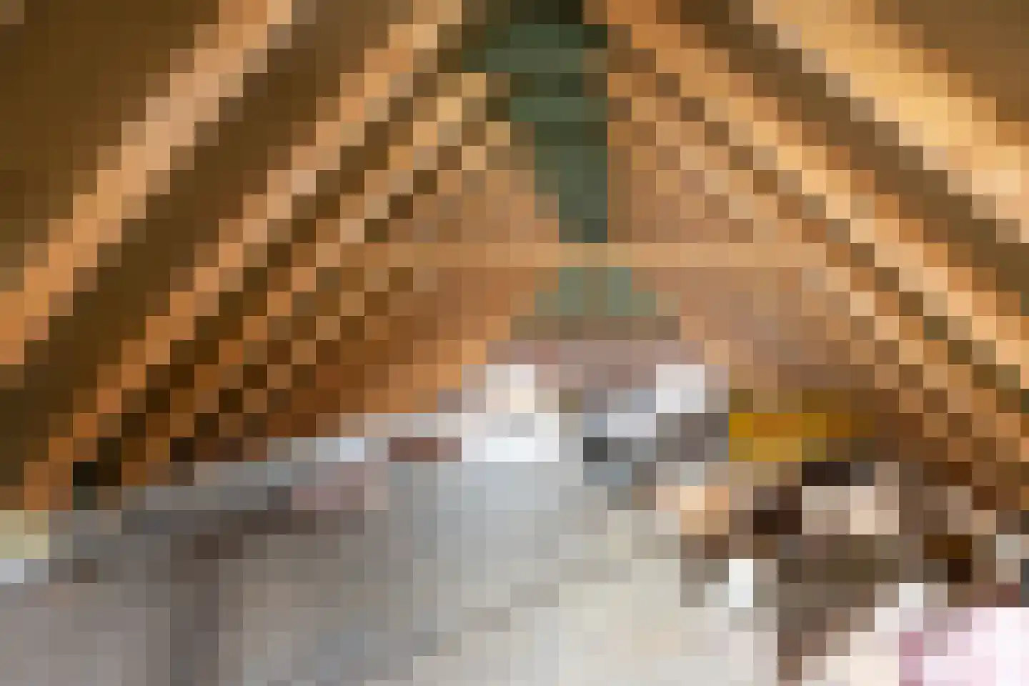 Burum 3 Warfhuizen thumbnail 24