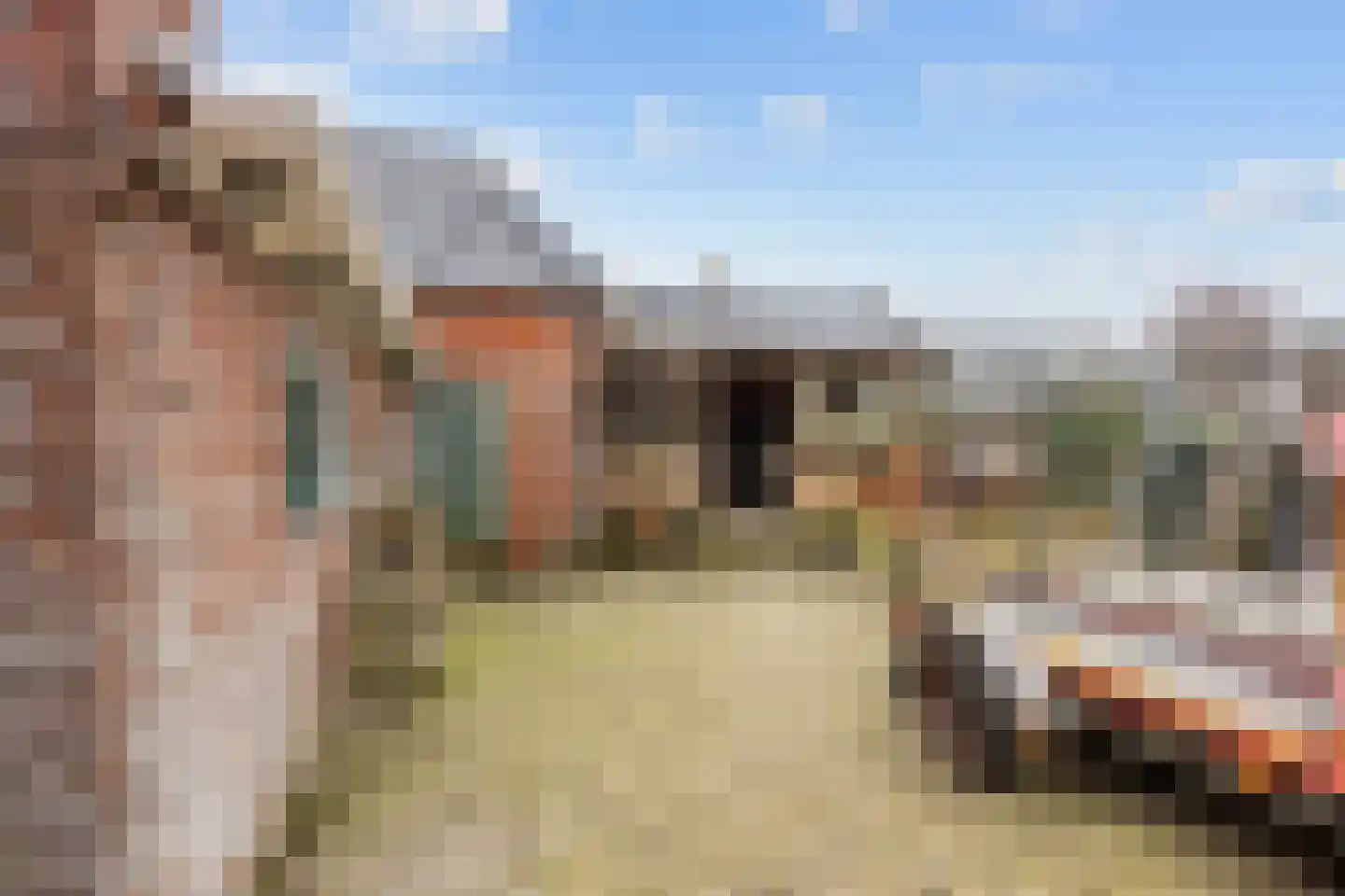 Burum 3 Warfhuizen thumbnail 26